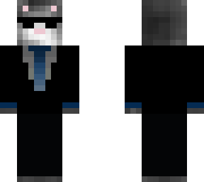 cool spy cat