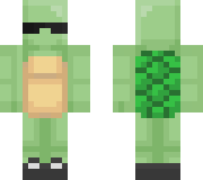 cool turtle