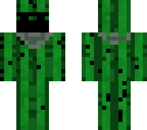 lt cactus
