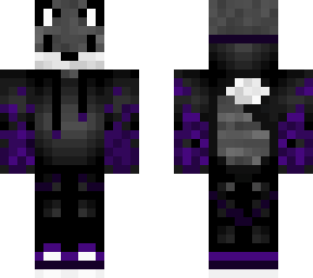 racoon? or grey fox
