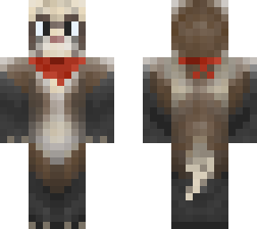 stevie the ferret