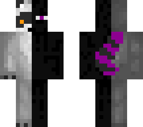 half racoon half enderman