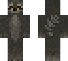 raccoon