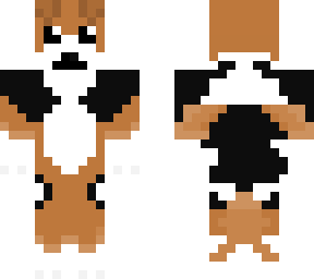 wirehaired fox terrier