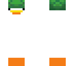 goose turtle helmet update