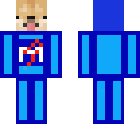 nasa doge (simplified)