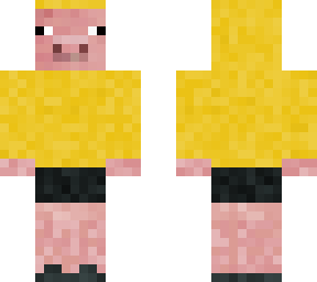 pig with pilot
