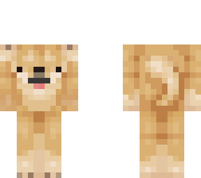 baby doge