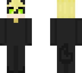 chat noir