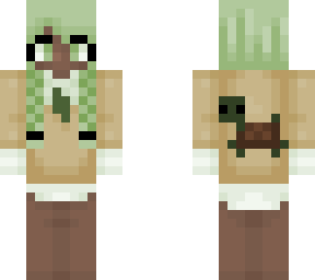 turtle