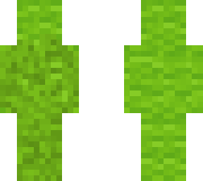 wool