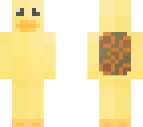 custom skin for astelicfan