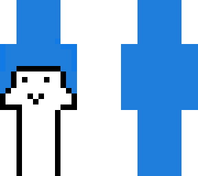 main skin