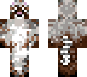 racoon