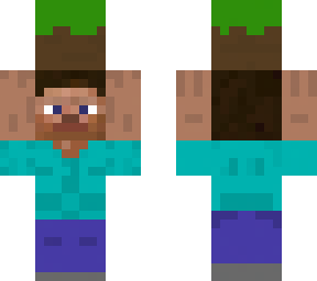 steve holding grass block