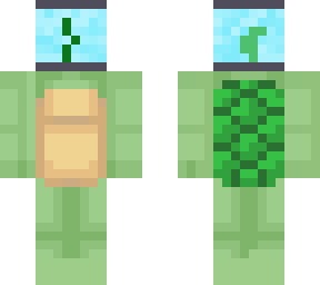 turtle in a fish tank