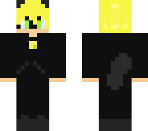 cat noir