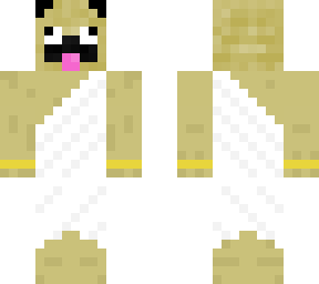 pug in robes
