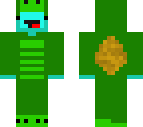 skeppy turtle
