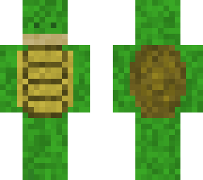 turtle