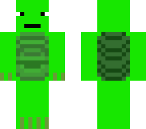 turtle