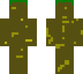 dirt