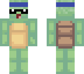 swagger turtle