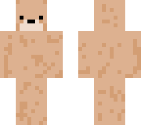 bear boi