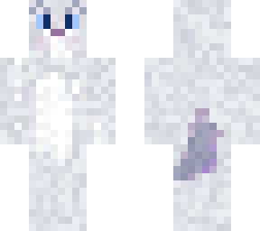 fluffybritish shorthair cat