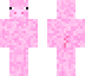 pig