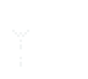 wii