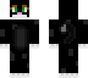 black cat