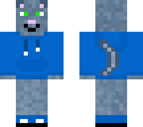 cat with hoodie