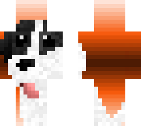 rex (my real doggy)