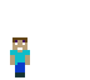 steve pixel