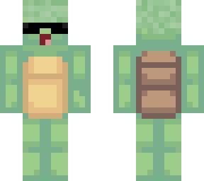 cool turtle boi