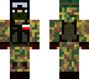 polish solider