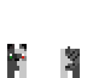 ranboo raccoon
