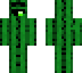 repaird oficial skin of kaktusmarcin