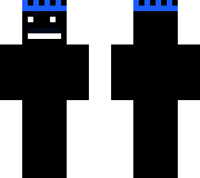 sebzplayzz skin