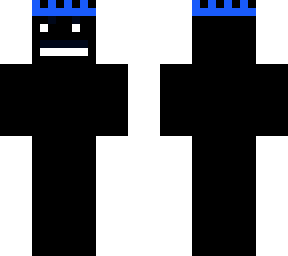 sebzplayzz skin