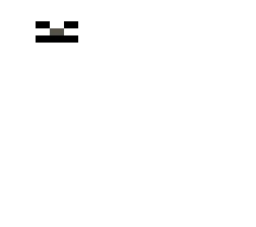 szkielet
