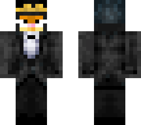 tuxedo jotaro cat