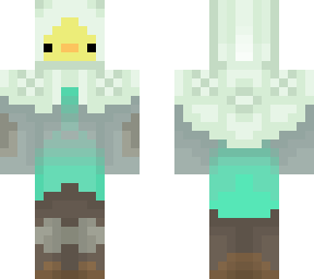 winter wonderer duck