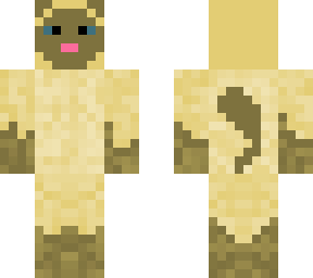 cat skin