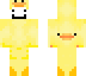 duck dream