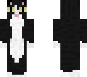 kitty cat