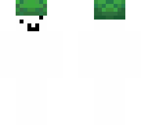 turtle hat guy