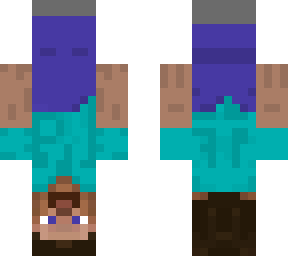 upside down steve