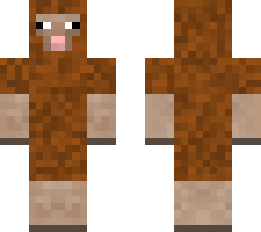 brown sheep